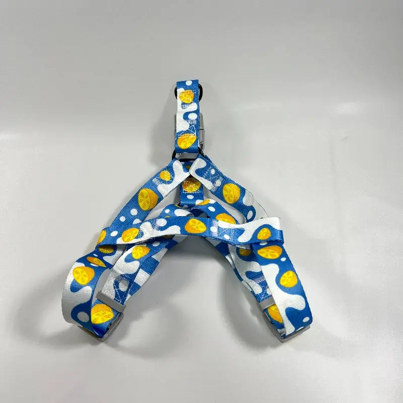 Blue Dog Harness (5)