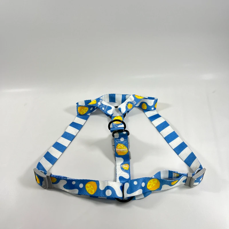 Blue Dog Harness (6)