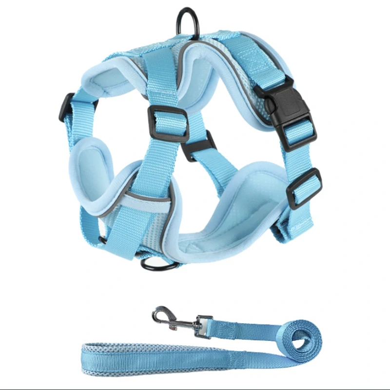 Collar Harness And Leash Set (1)