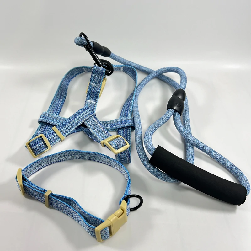 Collar Leash Set (1)