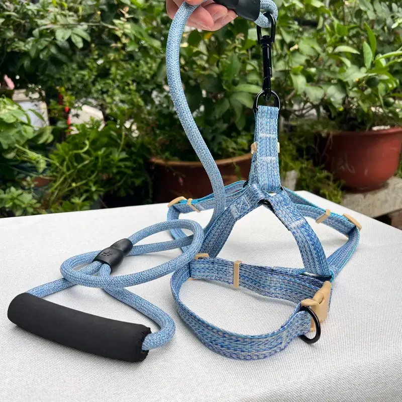 Collar Leash Set (3) Collar Leash Set (3)