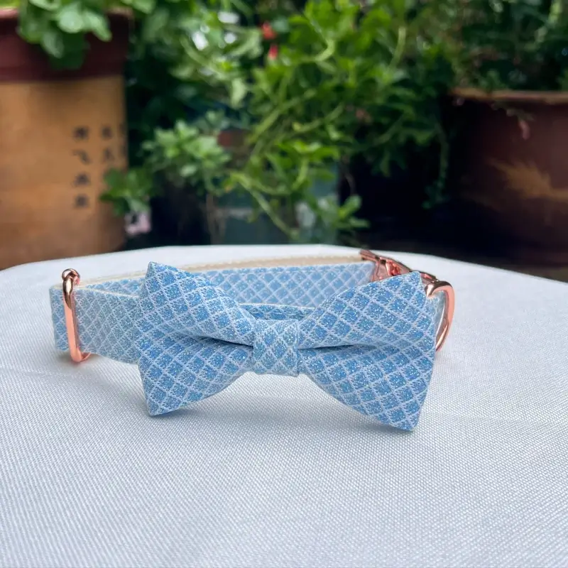 Custom Dog Collars (6)