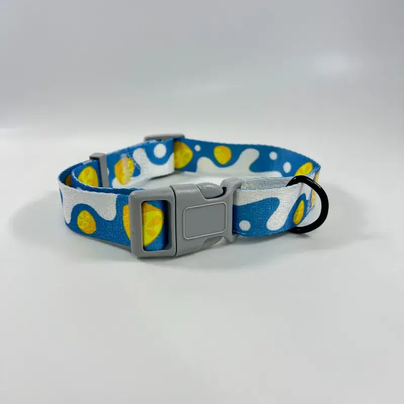 Cute Dog Collar (1)