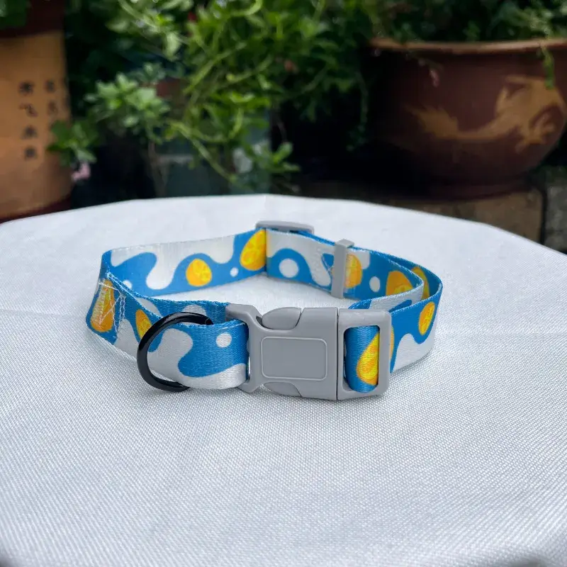 Cute Dog Collar (2)