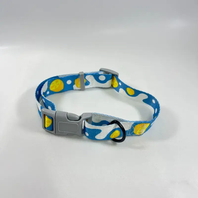 Cute Dog Collar (4)