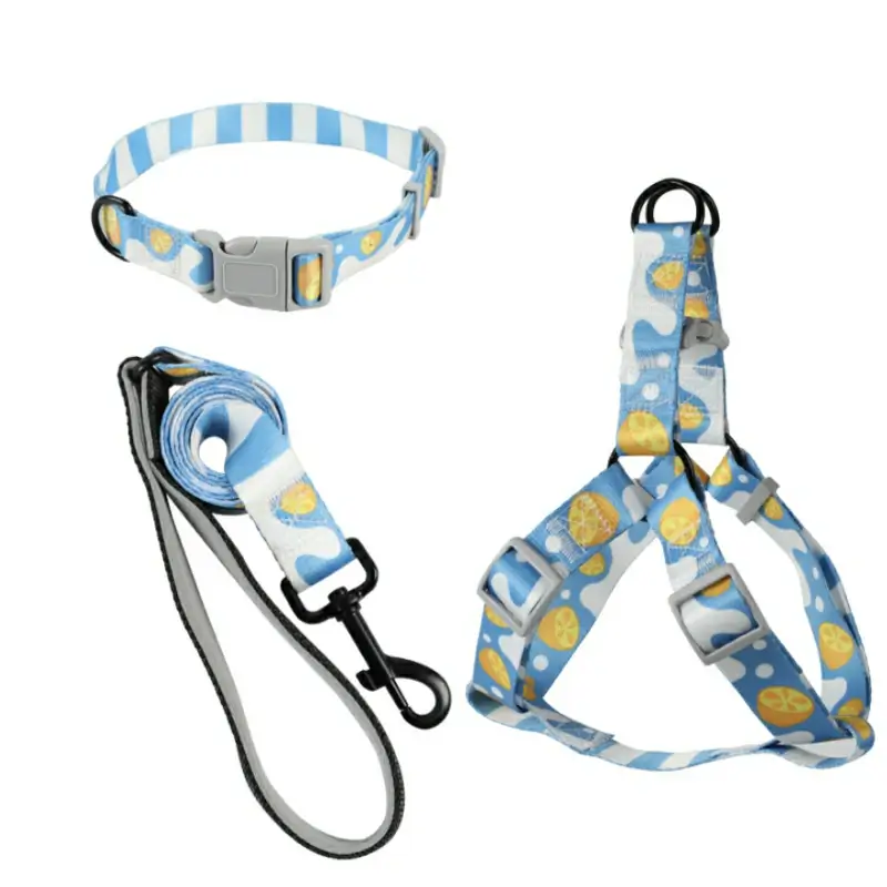 Dog Collar Leash