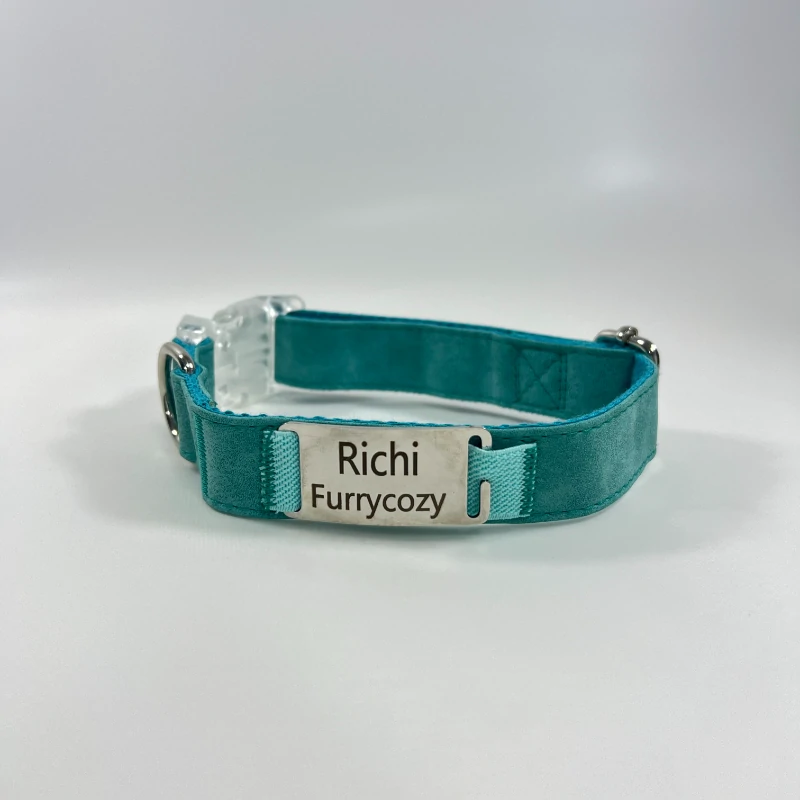 Dog Collar With Name (2)