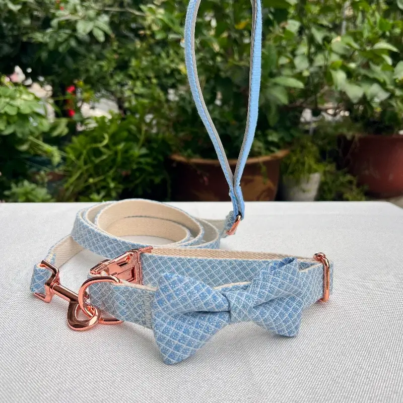 Dog Collars And Leashes (4)