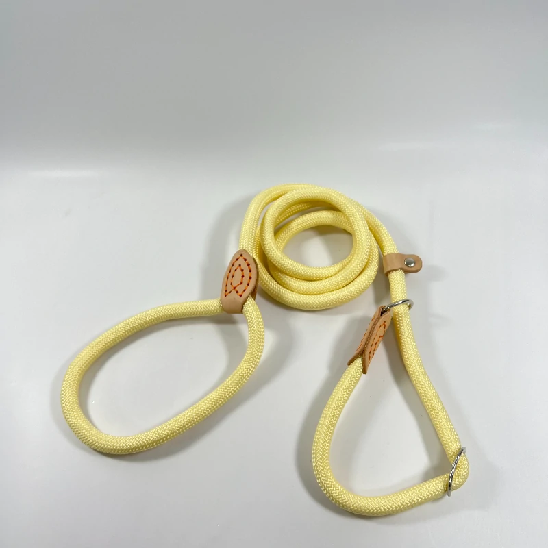 Dog Training Leash​ (11)