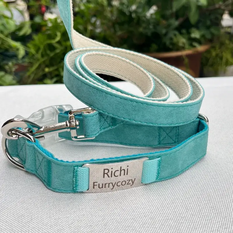 Collar and Leash Set for Dogs | Cute & Practical 1 collar and leash set 5