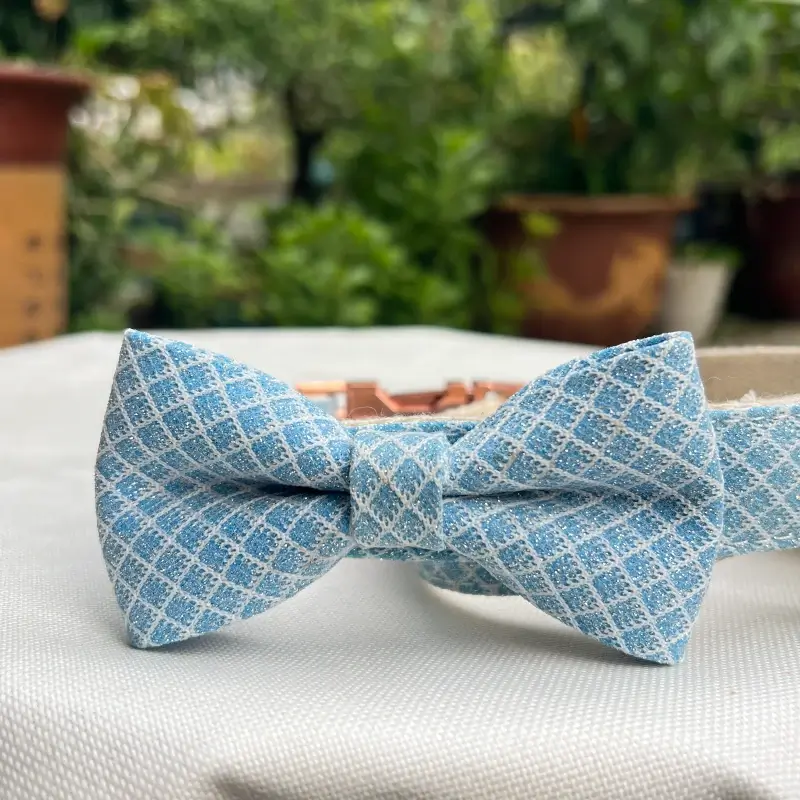 custom dog collars C07 4