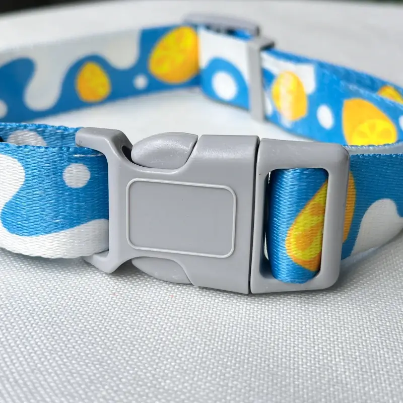 cute dog collar C01 3