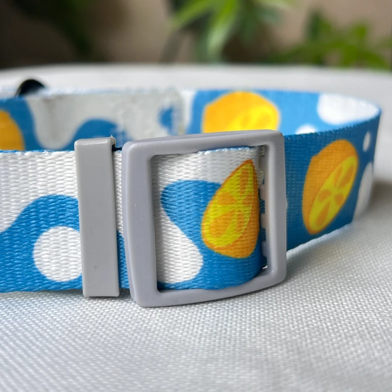 cute dog collar C01 4