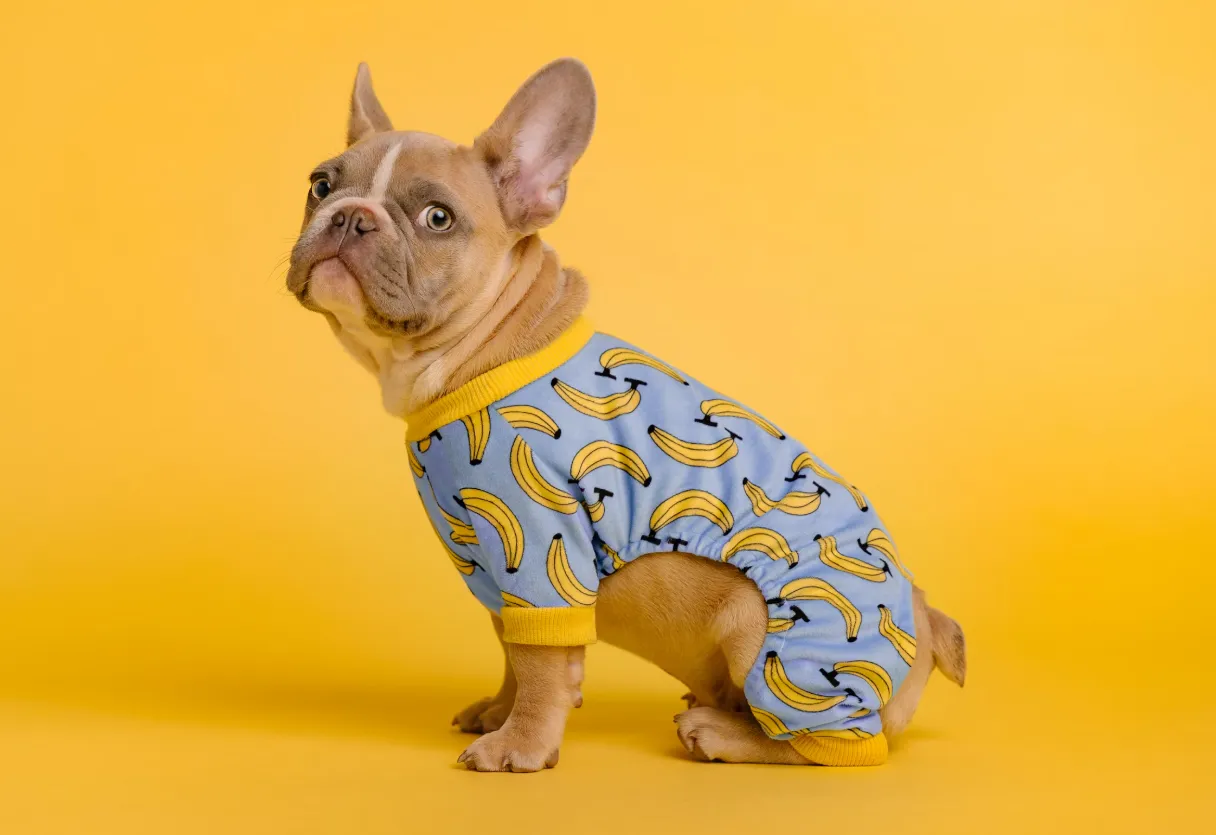 Dog Cloth
