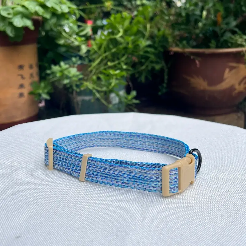 dog collar 1