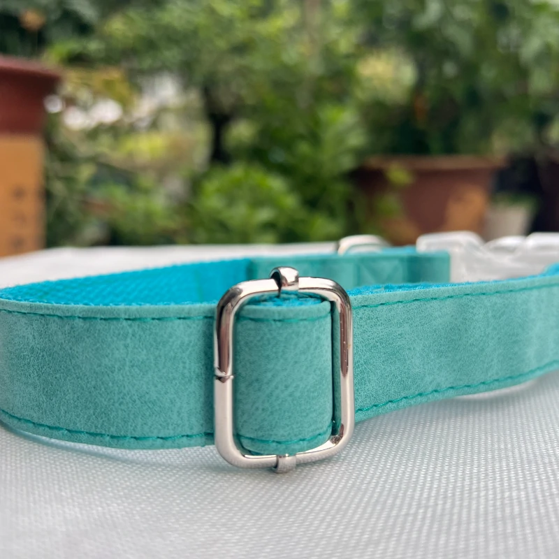 dog collar with name C05 1
