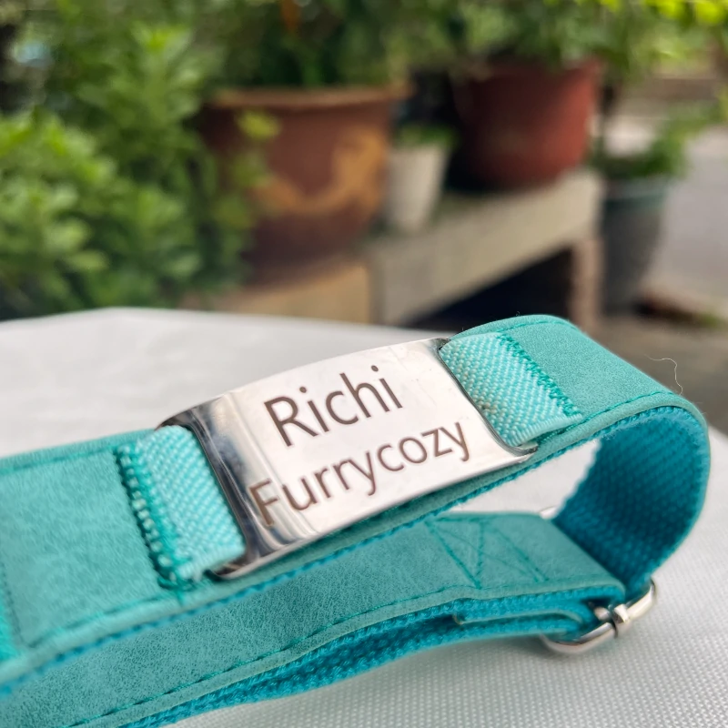 dog collar with name C05 3