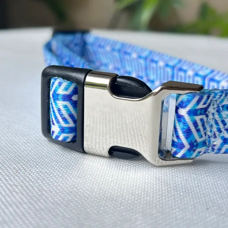 dog collars C03 1