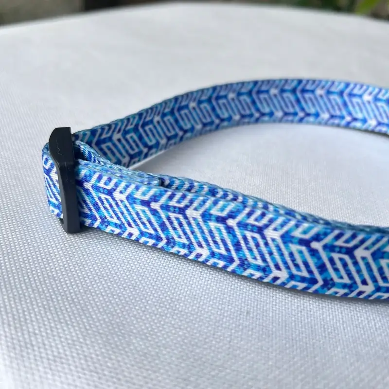 dog collars C03 3