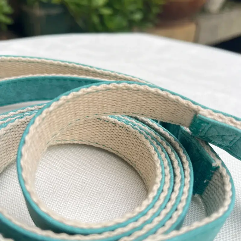 dogs leash L05 1